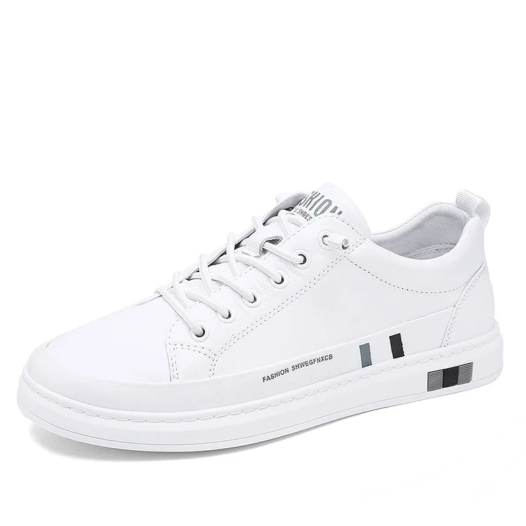 https://cdn.shopify.com/s/files/1/0807/0745/3272/products/Wu68zNve5kXNalWLvf8ymcwWh88Xbr.jpg?v=1772537277