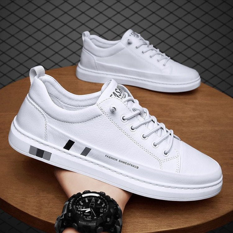 https://cdn.shopify.com/s/files/1/0807/0745/3272/products/a1a2a50b813a00b26f670f96f34ea3fe_750x_e87d16bf-2fa6-41a9-96d0-f92c4c375ac1.jpg?v=1772537277