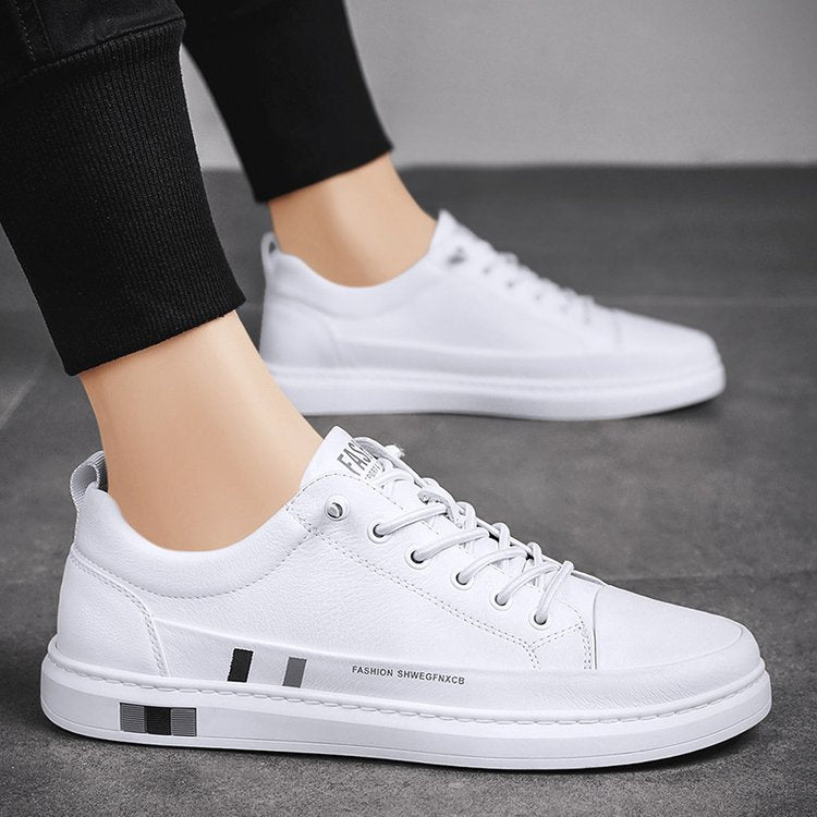 https://cdn.shopify.com/s/files/1/0807/0745/3272/products/eb0a613c3f6a9fa22995874633c2aca5_750x_c63b530f-8233-47a8-a121-68a67967f7c0.jpg?v=1772537277